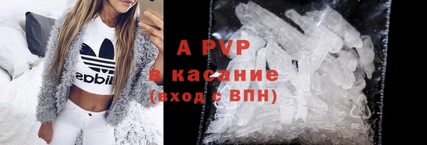 стаф Гусев