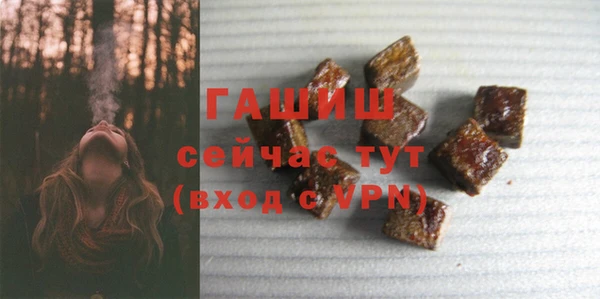 индика Гусь-Хрустальный