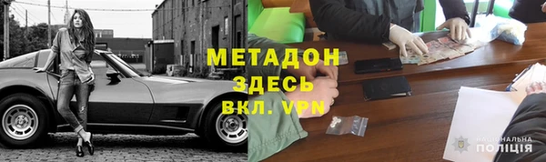 индика Гусь-Хрустальный