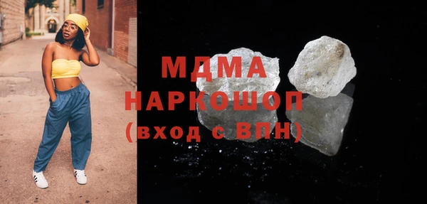 индика Гусь-Хрустальный