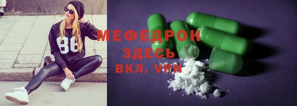 индика Гусь-Хрустальный