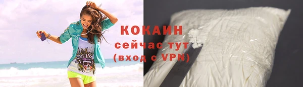 индика Гусь-Хрустальный