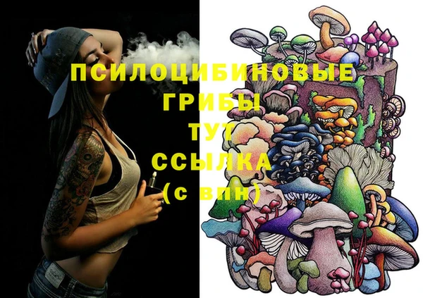индика Гусь-Хрустальный