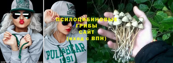 стаф Гусев