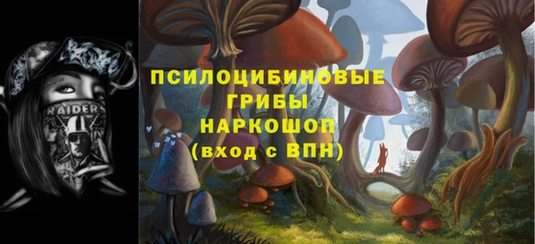 скорость Горно-Алтайск