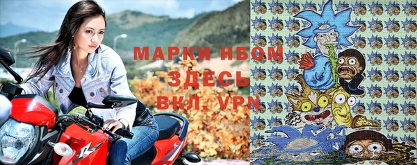 стаф Гусев