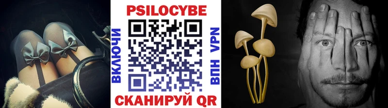 Псилоцибиновые грибы Psilocybe  Камышин 